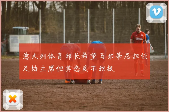 意大利体育部长希望马尔蒂尼担任足协主席但其态度不积极